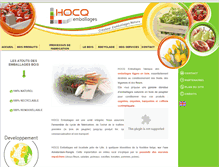 Tablet Screenshot of hocq.fr